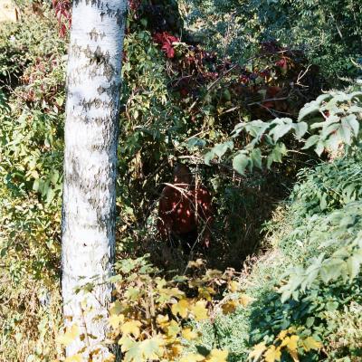 Biotop Oktober 2004